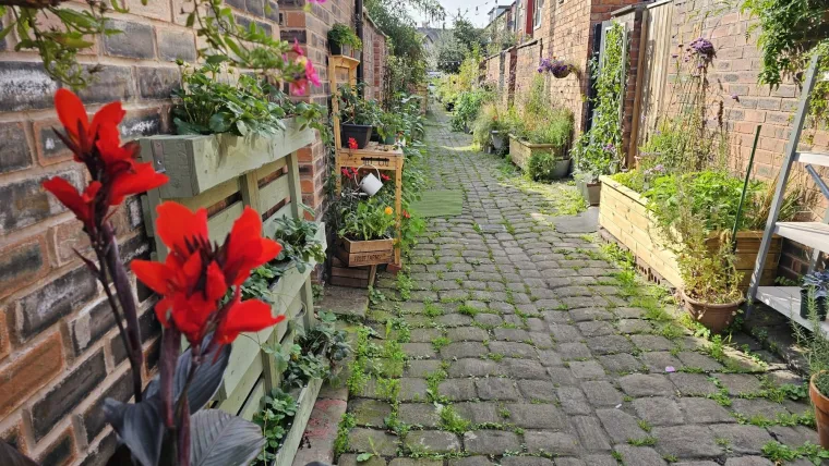 I ova je ulica bila preplavljena smećem do krova, a onda su stanari preuzeli stvar u svoje ruke i stvorili pravu oazu