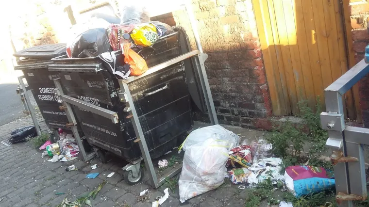 I ova je ulica bila preplavljena smećem do krova, a onda su stanari preuzeli stvar u svoje ruke i stvorili pravu oazu