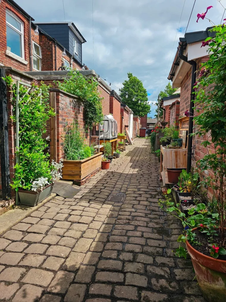 I ova je ulica bila preplavljena smećem do krova, a onda su stanari preuzeli stvar u svoje ruke i stvorili pravu oazu