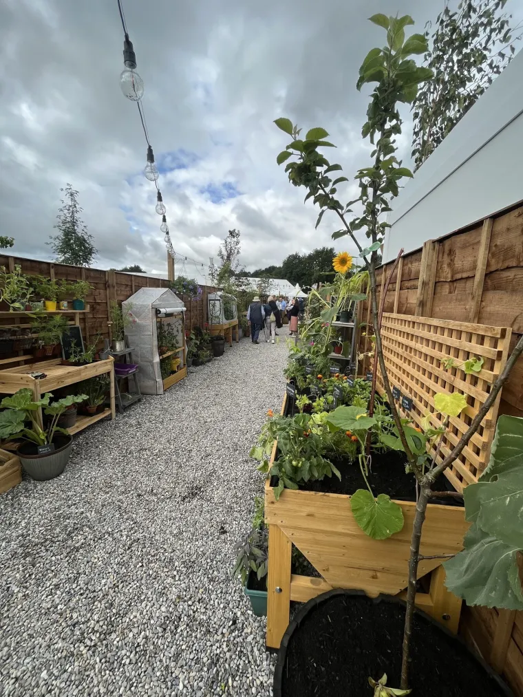 I ova je ulica bila preplavljena smećem do krova, a onda su stanari preuzeli stvar u svoje ruke i stvorili pravu oazu