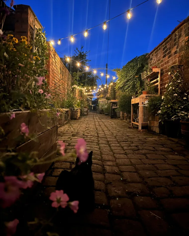 I ova je ulica bila preplavljena smećem do krova, a onda su stanari preuzeli stvar u svoje ruke i stvorili pravu oazu