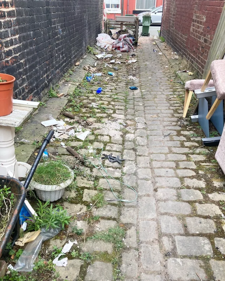 I ova je ulica bila preplavljena smećem do krova, a onda su stanari preuzeli stvar u svoje ruke i stvorili pravu oazu
