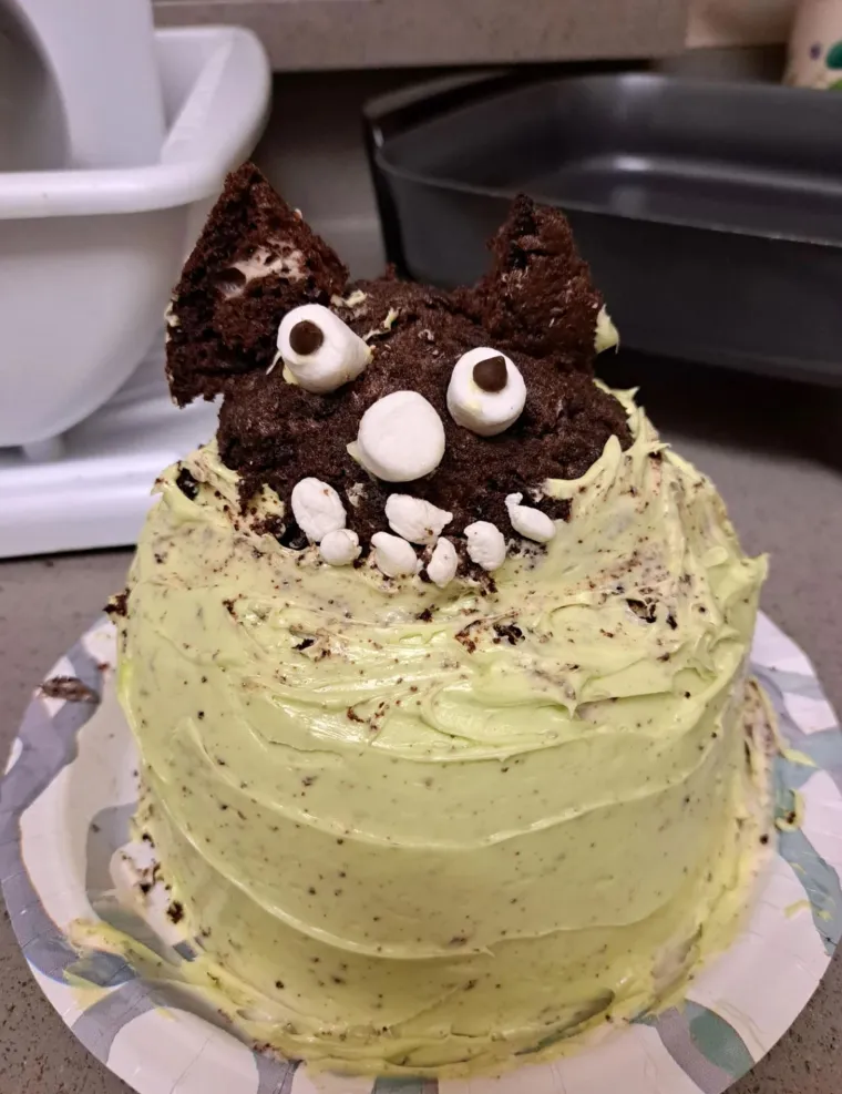 Zamislite da vam kao slavljeniku donesu ovakvu tortu: Ovim su se katastrofama čak i sami tvorci nasmijali