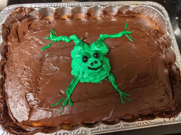 Zamislite da vam kao slavljeniku donesu ovakvu tortu: Ovim su se katastrofama čak i sami tvorci nasmijali