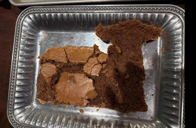 Zamislite da vam kao slavljeniku donesu ovakvu tortu: Ovim su se katastrofama čak i sami tvorci nasmijali