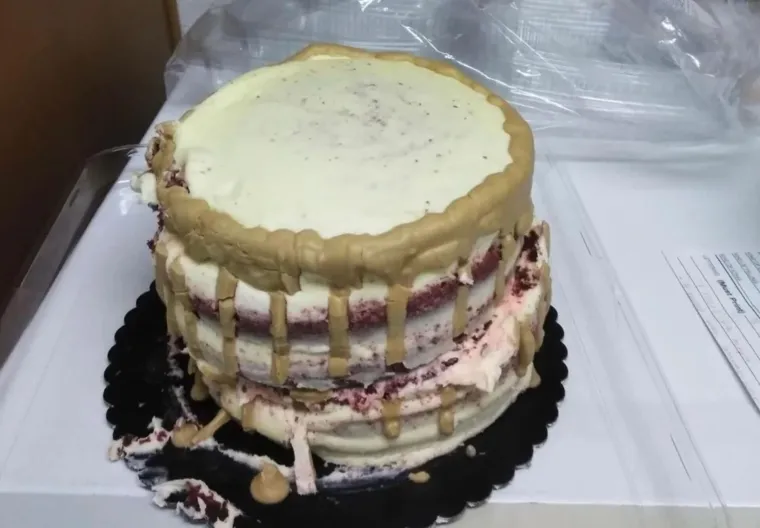 Zamislite da vam kao slavljeniku donesu ovakvu tortu: Ovim su se katastrofama čak i sami tvorci nasmijali