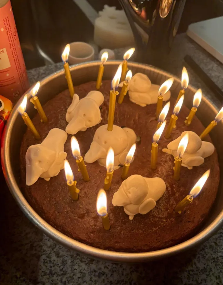 Zamislite da vam kao slavljeniku donesu ovakvu tortu: Ovim su se katastrofama čak i sami tvorci nasmijali