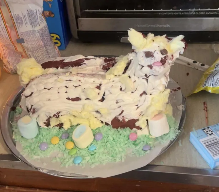 Zamislite da vam kao slavljeniku donesu ovakvu tortu: Ovim su se katastrofama čak i sami tvorci nasmijali