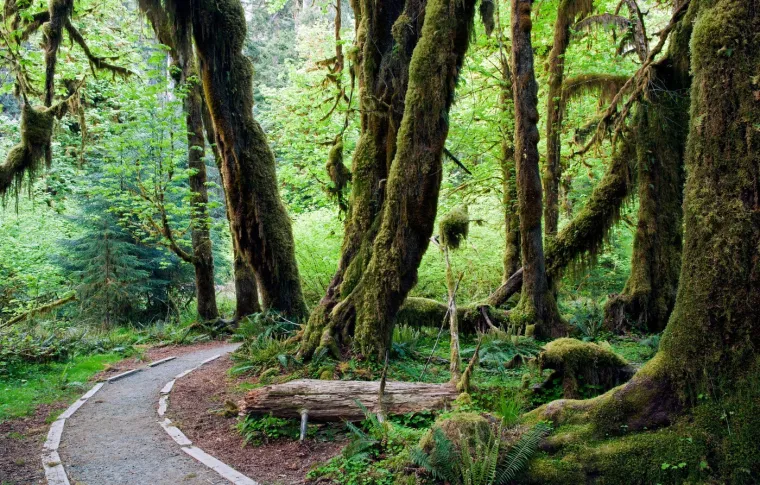 Ovo je 21 najti&scaron;e mjesto na Zemlji gdje se jo&scaron; može uživati u miru. Među njima je i jedno u Hrvatskoj
