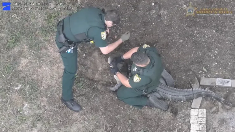 Nevjerojatno: Golim rukama se bacio na opasnog reptila i bacio ga na stražnje sjedalo auta