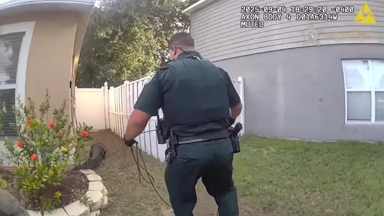 Nevjerojatno: Golim rukama se bacio na opasnog reptila i bacio ga na stražnje sjedalo auta