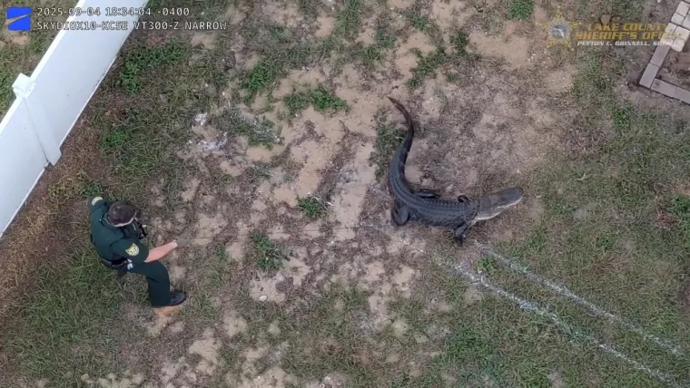 Nevjerojatno: Golim rukama se bacio na opasnog reptila i bacio ga na stražnje sjedalo auta