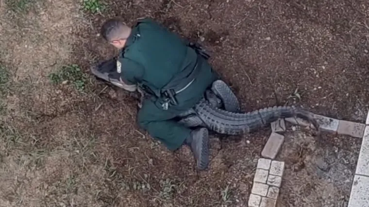 Nevjerojatno: Golim rukama se bacio na opasnog reptila i bacio ga na stražnje sjedalo auta
