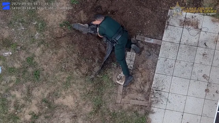 Nevjerojatno: Golim rukama se bacio na opasnog reptila i bacio ga na stražnje sjedalo auta