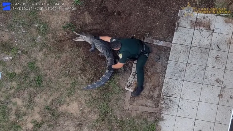 Nevjerojatno: Golim rukama se bacio na opasnog reptila i bacio ga na stražnje sjedalo auta