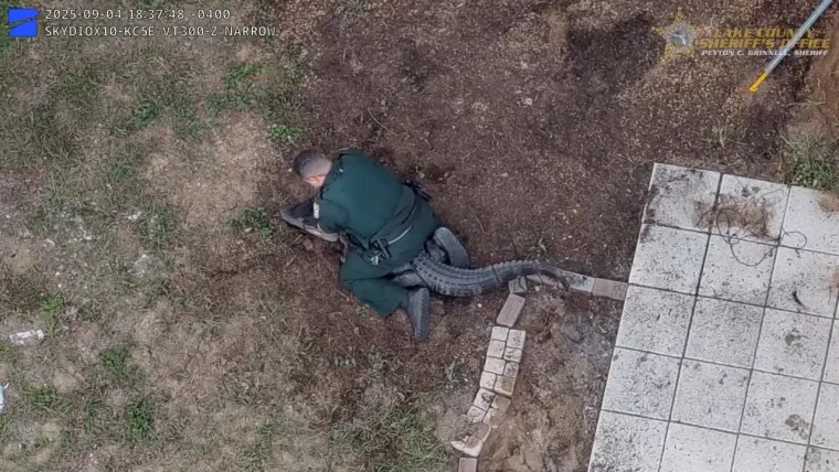 Nevjerojatno: Golim rukama se bacio na opasnog reptila i bacio ga na stražnje sjedalo auta