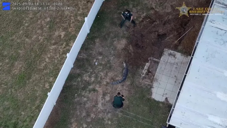 Nevjerojatno: Golim rukama se bacio na opasnog reptila i bacio ga na stražnje sjedalo auta