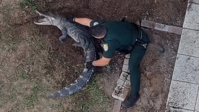 Nevjerojatno: Golim rukama se bacio na opasnog reptila i bacio ga na stražnje sjedalo auta