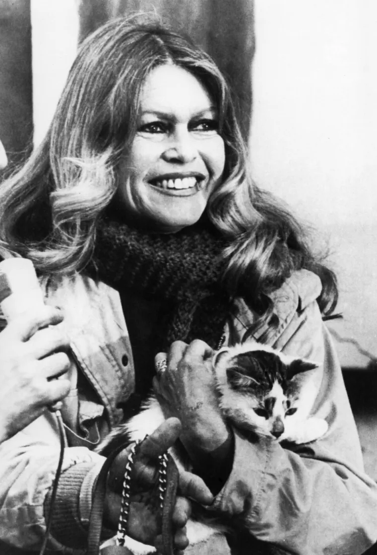 Nije se sramila ni golotinje ni lezbijskih scena: Ikona glume Brigitte Bardot slavi 91. rođendan