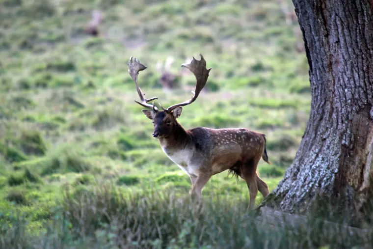 Prestižni svjetski časopis dva hrvatska grada stavio na popis destinacija koje morate posjetiti
