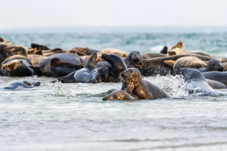 Prestižni svjetski časopis dva hrvatska grada stavio na popis destinacija koje morate posjetiti