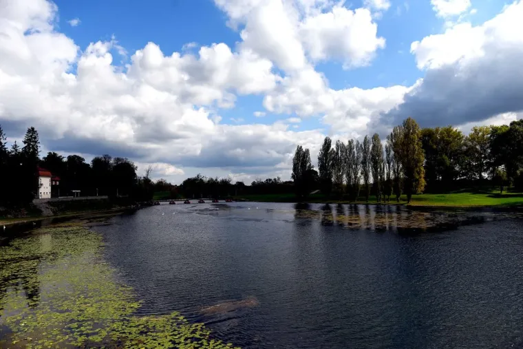 Nema tko se nije okrenuo za damom zanosnih oblina: Pojavila se i užarila Karlovac