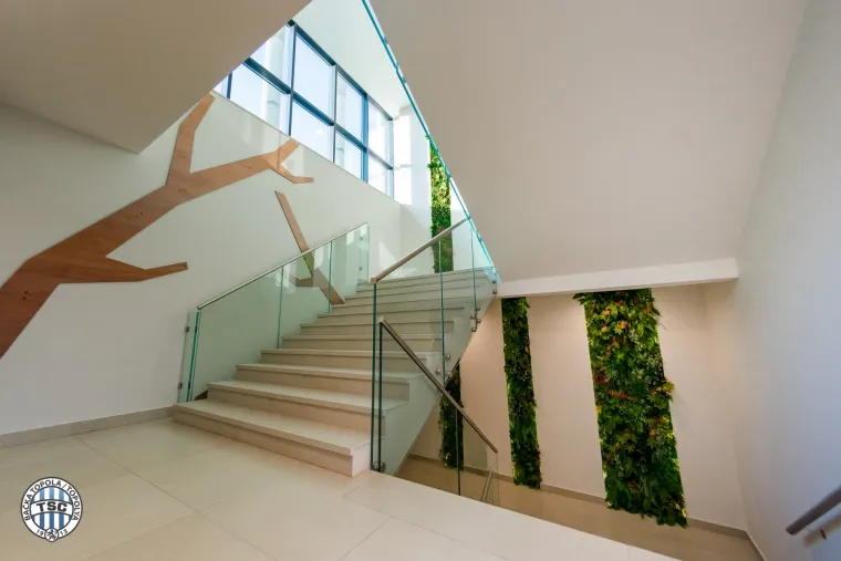 Otkrivamo tajne arhitektonskog čuda: Zavirite u 'srpsku Opus Arenu' na kojoj će igrati Dinamo