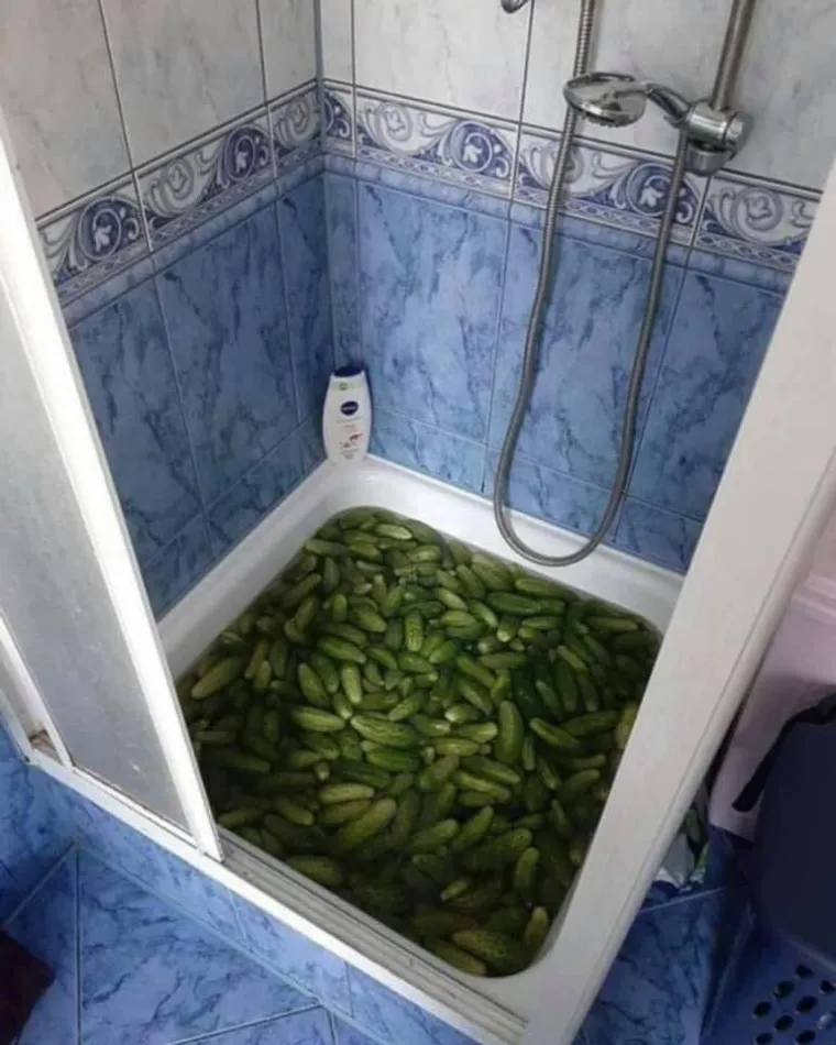 Kada jesen stigne na Balkan: Svi ovi prizori dobro su vam poznati, a mnogi će vas i po&scaron;teno nasmijati