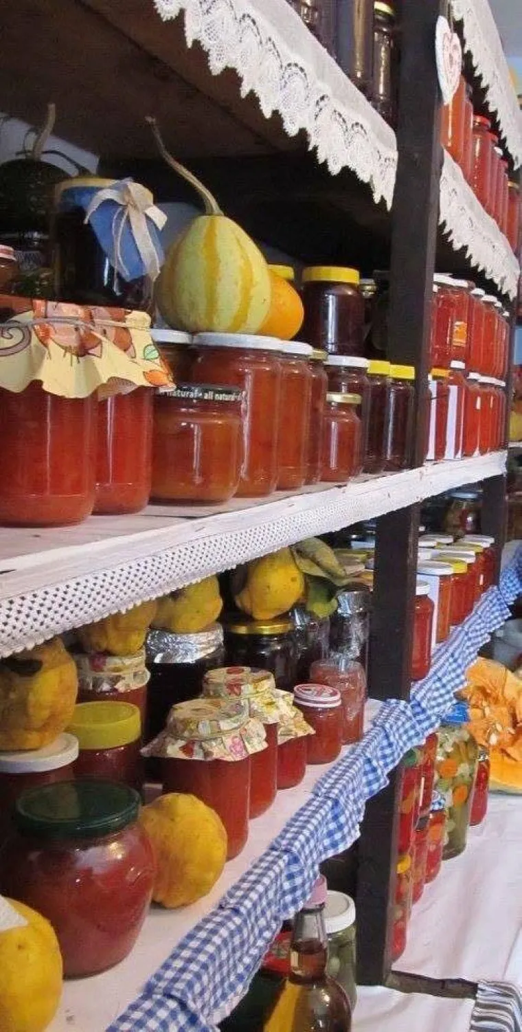 Kada jesen stigne na Balkan: Svi ovi prizori dobro su vam poznati, a mnogi će vas i po&scaron;teno nasmijati