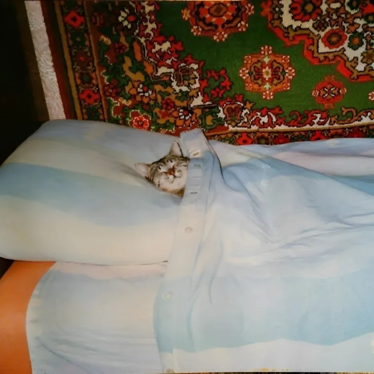 Kada jesen stigne na Balkan: Svi ovi prizori dobro su vam poznati, a mnogi će vas i po&scaron;teno nasmijati