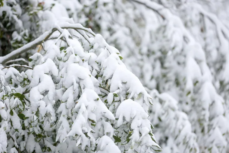 Pogledajte nestvarne prizore prvog snijega ove sezone: Na ovoj planini zima uvijek dođe najranije