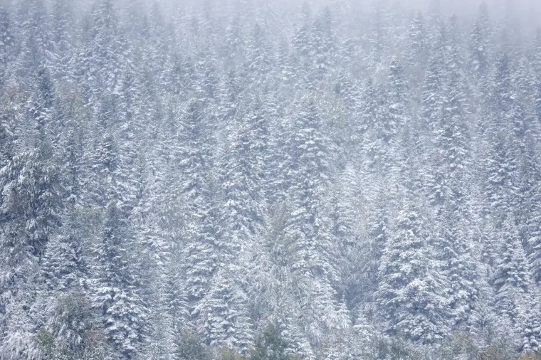 Pogledajte nestvarne prizore prvog snijega ove sezone: Na ovoj planini zima uvijek dođe najranije