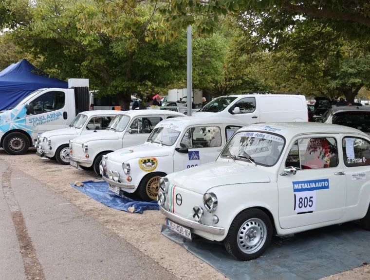 Ovo se ne viđa svaki dan! Fićeki preplavili Skradin: Ma pogledajte samo te male neodoljive legendice