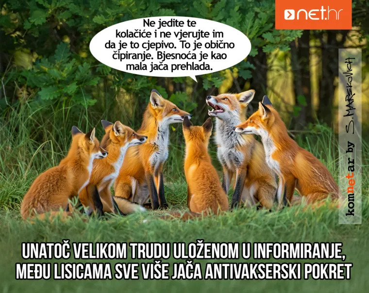Toma&scaron;ević se 'napu&scaron;io', Bero&scaron; opet na poslu, a Plenković vježba u teretani: Ovo su komnetari iz listopada