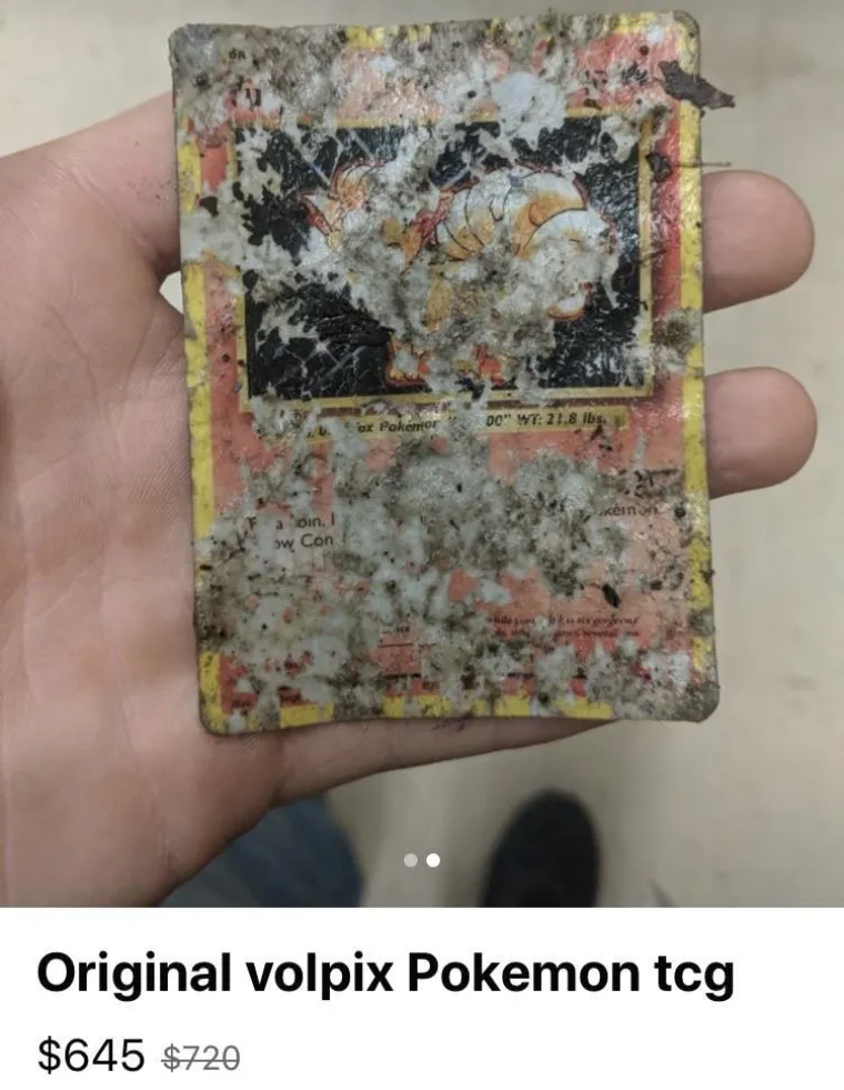 Zapanjit će vas što sve ljudi prodaju preko neta i koliko za to traže, ovo su samo neki od najluđih primjera