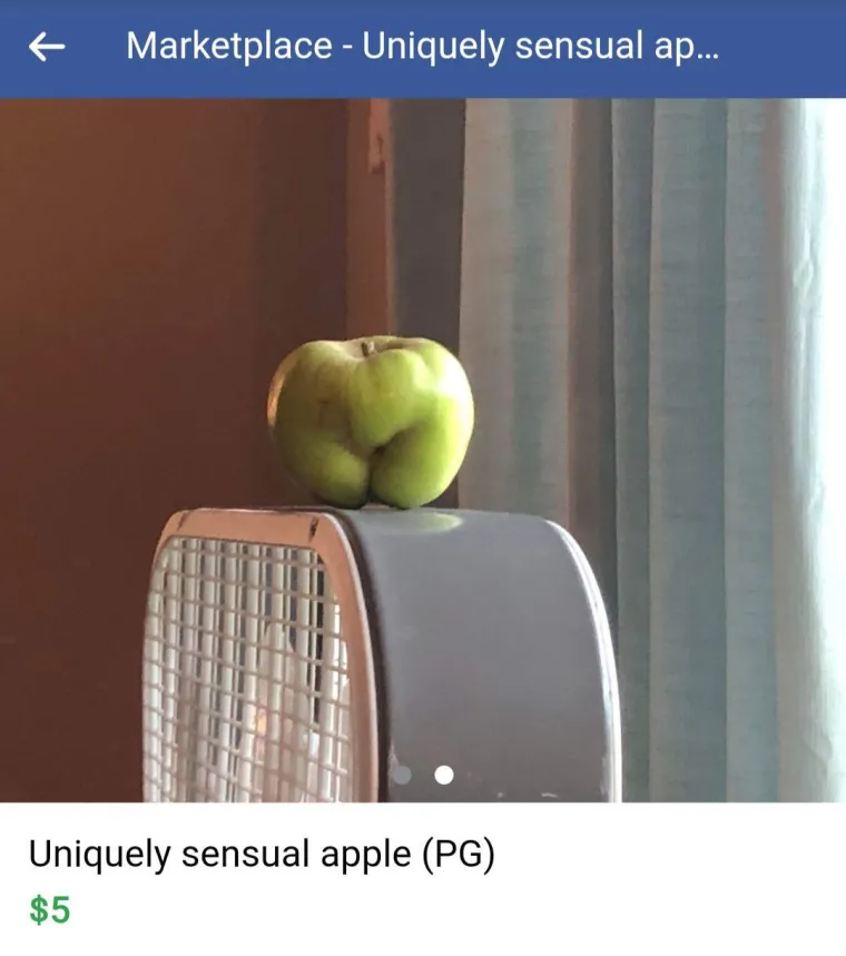 Zapanjit će vas &scaron;to sve ljudi prodaju preko neta i koliko za to traže, ovo su samo neki od najluđih primjera