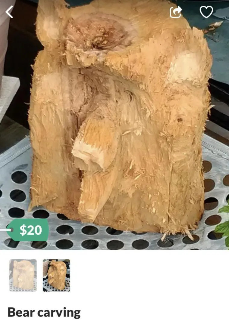 Zapanjit će vas &scaron;to sve ljudi prodaju preko neta i koliko za to traže, ovo su samo neki od najluđih primjera