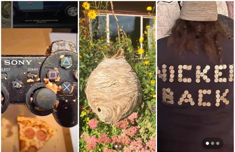 Zapanjit će vas što sve ljudi prodaju preko neta i koliko za to traže, ovo su samo neki od najluđih primjera