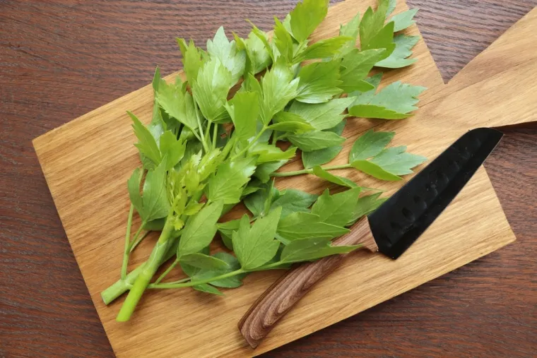 Trajat će i do godinu dana: Zamrznite ovih 20 začinskih biljaka uz savjete stručnjaka