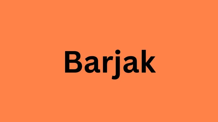 Koje je značenje ovih turcizama? Rije&scaron;i kviz i dokaži da si sveznalica