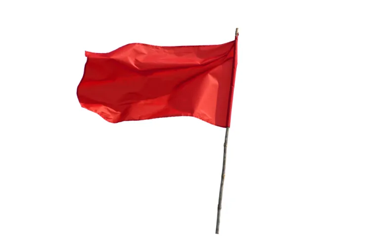 Koje je značenje ovih turcizama? Rije&scaron;i kviz i dokaži da si sveznalica