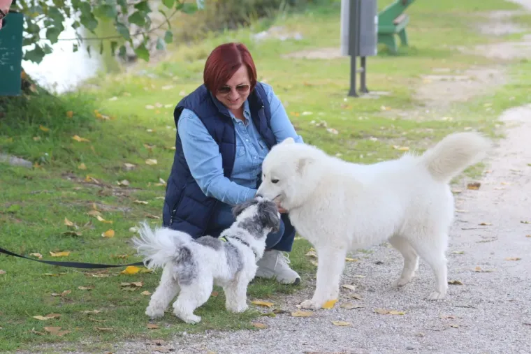 Sunčana nedjelja izmamila Međimurce van: Neki biciklom, pje&scaron;ke ili brodom, a neki - zmajem