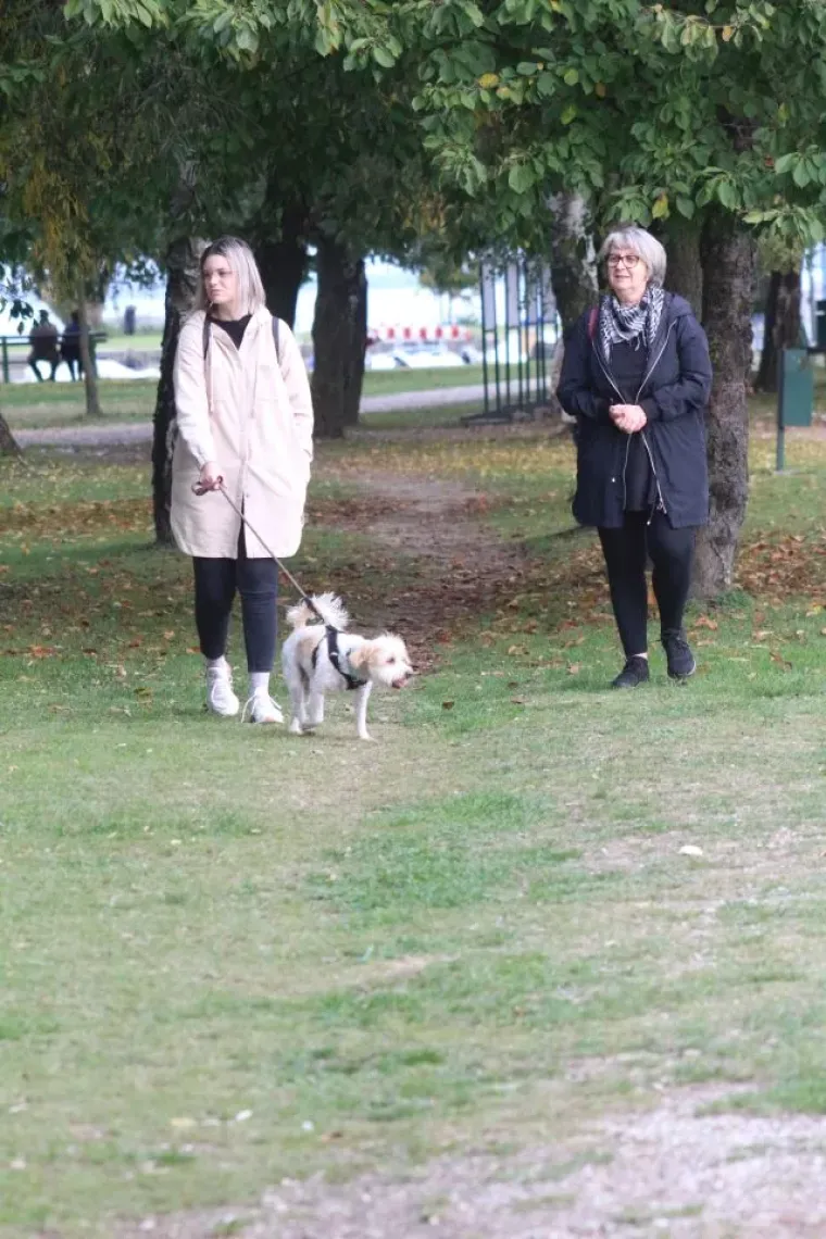 Sunčana nedjelja izmamila Međimurce van: Neki biciklom, pje&scaron;ke ili brodom, a neki - zmajem