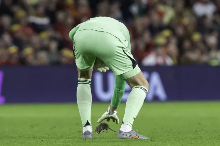 Nepozvani gost na utakmici Belgije i Walesa: Pogledajte kako je štakor nasamario Realovu zvijezdu