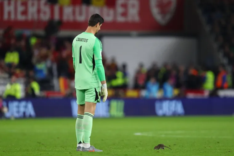 Nepozvani gost na utakmici Belgije i Walesa: Pogledajte kako je štakor nasamario Realovu zvijezdu