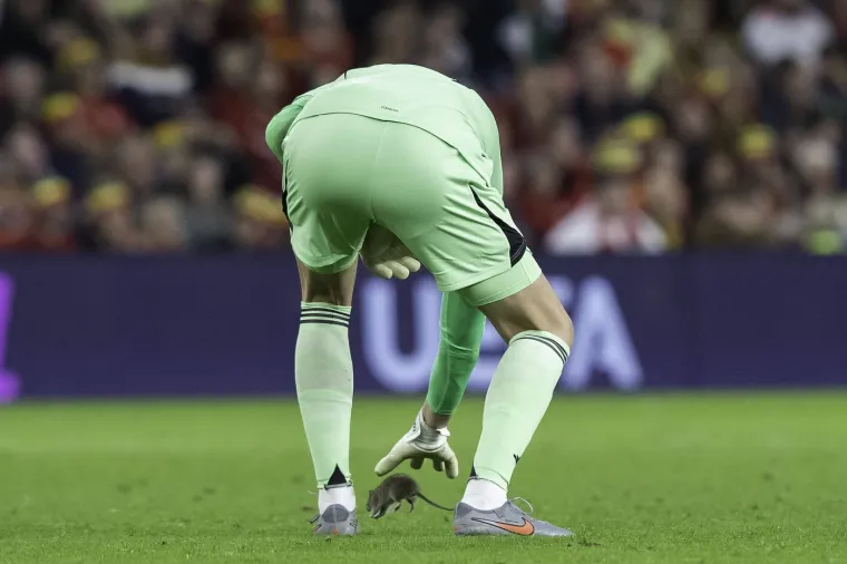 Nepozvani gost na utakmici Belgije i Walesa: Pogledajte kako je štakor nasamario Realovu zvijezdu