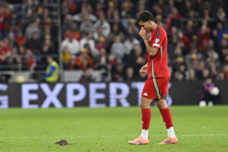 Nepozvani gost na utakmici Belgije i Walesa: Pogledajte kako je &scaron;takor nasamario Realovu zvijezdu