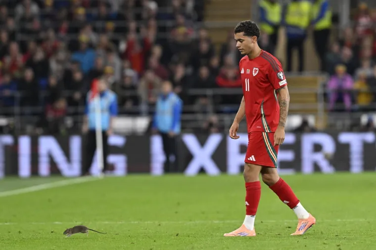 Nepozvani gost na utakmici Belgije i Walesa: Pogledajte kako je &scaron;takor nasamario Realovu zvijezdu