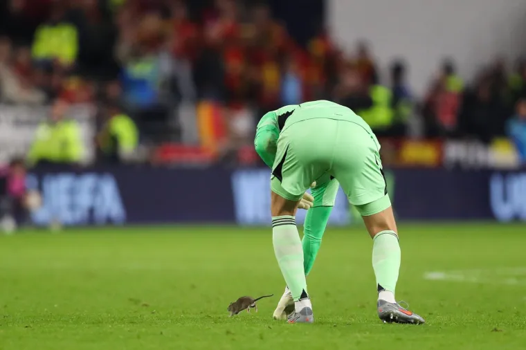 Nepozvani gost na utakmici Belgije i Walesa: Pogledajte kako je &scaron;takor nasamario Realovu zvijezdu