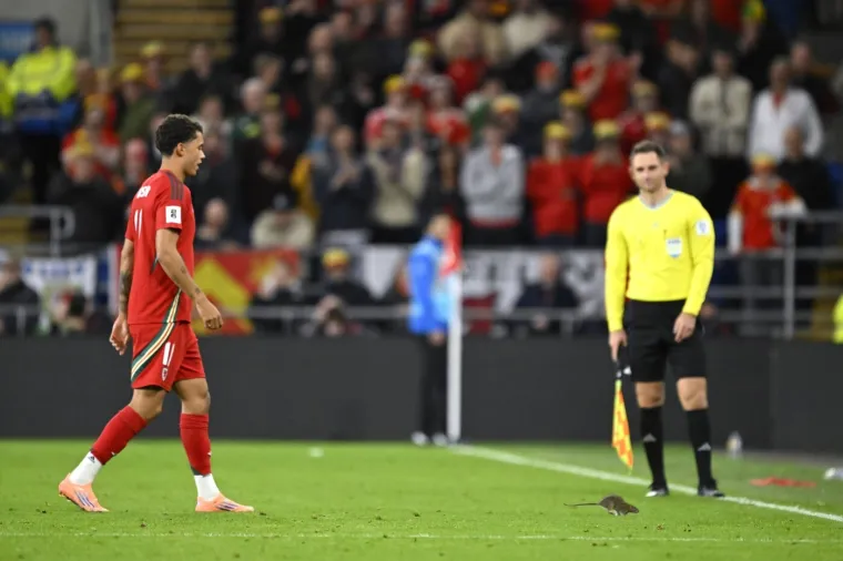 Nepozvani gost na utakmici Belgije i Walesa: Pogledajte kako je &scaron;takor nasamario Realovu zvijezdu